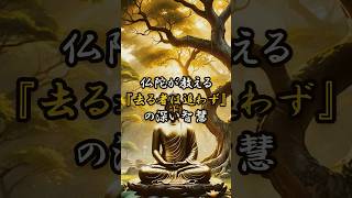 仏陀が教える『去る者は追わず』の深い智慧