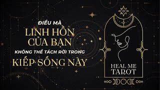 Trải bài : Điều mà linh hồn bạn không thể tách rời trong kiếp sống này