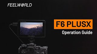 FEELWORLD F6 PLUSX 5.5\