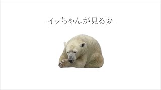 【最終回】イッちゃんホウちゃん。800時間を超えるイッちゃんの映像から作成しました。なおホウちゃんの撮影は彼女の悲しみが和らぐまで無期限自粛させていただきます……ごめんなさい。詳しくは概要欄まで。