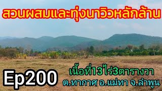 Ep200 สวนผสมและทุ่งนา วิวหลักล้าน น้ำไฟพร้อม โฉนดนส.4จ. เนื้อที่13ไร่3ตารางวา ขายไร่ละ250,000บาท