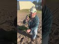 How To Plant Watermelons 🍉