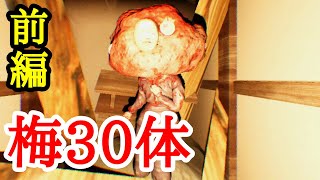 梅30体の聖域 前編【影廊 ShadowCorridor】