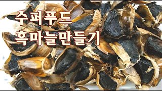 [헬렌건강요리] 일반마늘보다 10배 탁월한 흑마늘만들기 How to Make Black Garlic That is 10 Times Better Than Regular Garlic