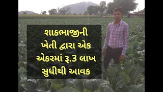 શાકભાજીના સફળ ખેડૂત | Vegetable Farming