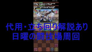 代用・立ち回り解説あり　ファガン対応日曜の闘技場周回編成