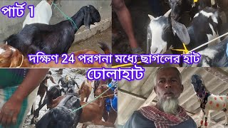 South 24 Pargana West Bengal Goat Cow Hat{ ঢোলাহাট দক্ষিণ 24 Dhola Hatপরগনাপশ্চিমবঙ্গো ছাগলওগরুরহাট