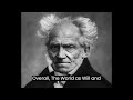 arthur schopenhauer the world as will and representation