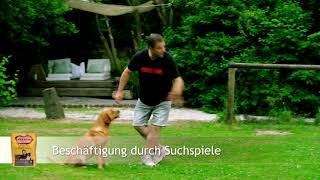 FRESCO Hundetraining mit Martin Rütter -Suchspiele