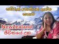 New Zealand ජීවිතයේ දුක​ | රටකට ආවාම මුහුණ දෙන ගැටලු |ගැටලු අවම කරගන්නා ‍‍ක්‍රම 🙂