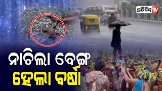 ବେଙ୍ଗ ନାଚିଲା ବର୍ଷା ହେଲା || PratidinTV