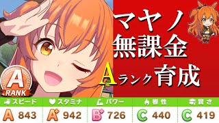 【ウマ娘】無課金でもできるマヤノトップガンAランク育成。チームレース長距離はマヤにお任せ！【初心者攻略】