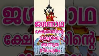 ഏത് ഭാഗത്ത് നിന്ന് നോക്കിയാലും ഒരേപോലെ കാണുന്ന നീല ചക്രം | Mystical Neela Chakra | #puri #shorts