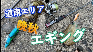 【エギング】食べ頃サイズが連発！？　晩秋エギングin道南エリア　＃アオリイカ＃エギング＃エメラルダスステイ