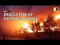 Dozens dead after fire sweeps through factory in China’s Henan province