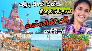 Koneshwaram Kovil Vlog 🕉️❤️ ත්‍රිකුණාමලය කෝනේෂ්වරම් කෝවිලට ගිය ගමනෙ Vlog එක | Gayashi Chethana Vlogs