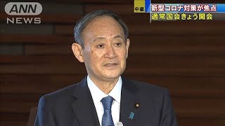 通常国会きょう開会　コロナ対策が最大の焦点に(2021年1月18日)