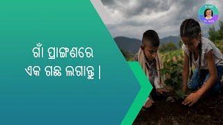 ଗାଁ ପ୍ରାଙ୍ଗଣରେ ଏକ ଗଛ ଲଗାନ୍ତୁ | ଶିଶୁ ଡକ୍ଟର ଆର୍କାନା ହେମନ୍ତ ଯୋଶୀ (ବିରାର)