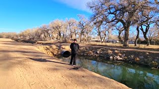 Walk along the Canal and Cottonwoods | Hidden Tingley Ponds