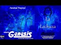 la lechuza grupo genesis