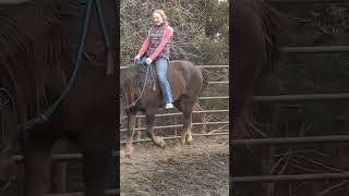 bareback on a mustang!✨