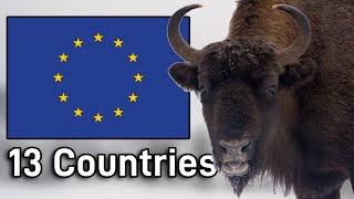 The European Bison Population In Each Country They Inhabit