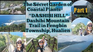 D Secret Garden of Coastal Plants \