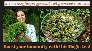 Ponnanganni Cheera recipe |Malayalam |The golden plant | Immunity Booster|Alternanthera sessilis