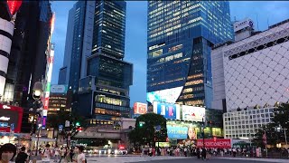 Shibuya Scramble Crossing【渋谷スクランブル交差点】Cool Tokyo Japan