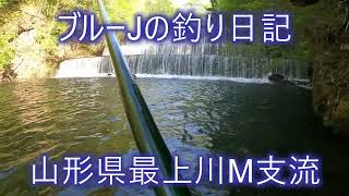 ブルーＪの釣り日記　山形県最上川Ｍ支流　１００本目