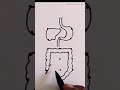 how to draw a digestive system with dots ॥ #art #drawing #shorts #science#kids