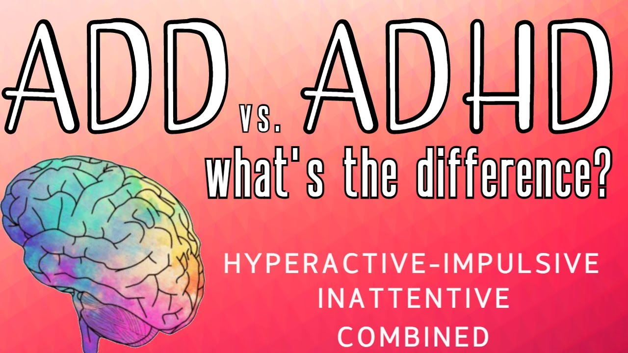 Difference Between Add And Adhd 504 Plan - Leryvet