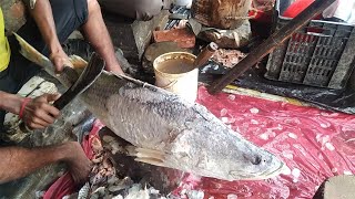 Incredible 17Kg Giant Bhetki Fish Cutting Live in Bangladesh || Fish Cutting Technique