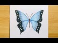 How to Draw Butterfly  (Very Easy) Step by Step | Colored Pencil