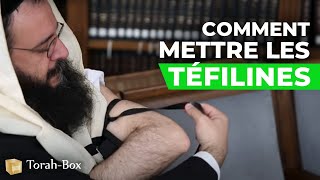 Comment mettre les Téfilines ?