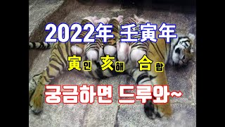 2022년 임인년 인해합에 대해서 알아보자