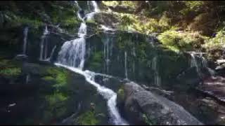 Nature 4K - Beautiful Relaxing Music, Deep focus by Relaxation Film, Nature Meditation Music, Relax