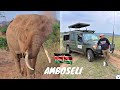 Mount Kilimanjaro with Elephants of Amboseli National Park l Travel with Rashid l  اردو / हिंदी