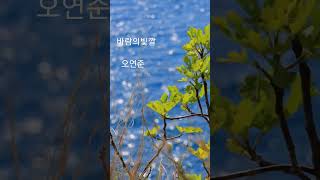 바람의빛깔#오연준#Pocahontas ost