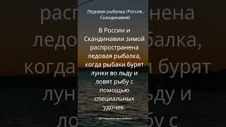 Следствие вели рыбаки: Исследование загадочных рыболовных уловов