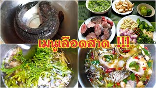 กับข้าวกับปลาโอ 733 ต้มยำปลาช่อนลุยทุ่ง แซ่บลืมนา ซดน้ำร้อนๆ คล่องคอ Spicy Snake Head Fish Soup