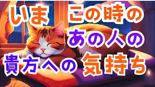 離れいる人 いまこの時のあの人のあなたへの気持ち【2024 年最後の気持ち】#音信不通 #ワラコリーディング #ハリネズミたちのジレンマ