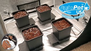 Bassdropkeys 4 Pot Autopot System Bundle