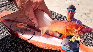 How to fillet a Coral Trout