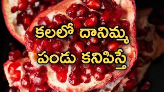 కలలో దానిమ్మ పండు కనిపిస్తే | కలలో దానిమ్మ | కలలు వాటి ఫలితాలు | లక్ష్మీ భక్తి