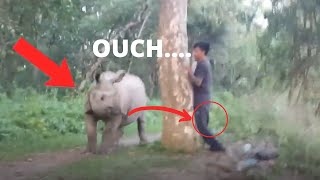 12 Scary Animal Encounters No One Expected