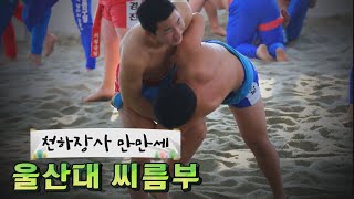 천하장사 씨름 선수들의 일상은?! 다시 떠오르는 씨름!!