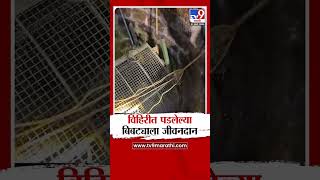 Ratnagiri News | विहिरीत पडलेल्या बिबट्याला जीवनदान