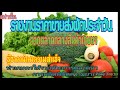 เช็คราคาผักตลาดกลางวันนี้ 26 ส.ค. 65 สรุปราคาผักตลาดกลางสินค้าเกษตร