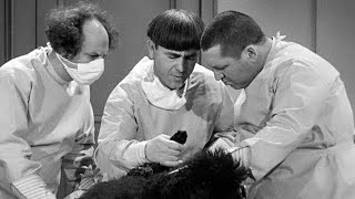 The THREE STOOGES Operate on a DOG